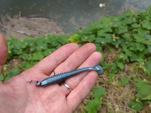 f:id:nobinson:20240923072752j:image f:id:nobinson:20240923072752j:image