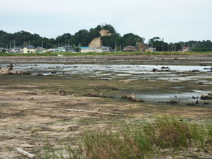 f:id:nobiru_harbor:20130911162611j:image f:id:nobiru_harbor:20130911162611j:image