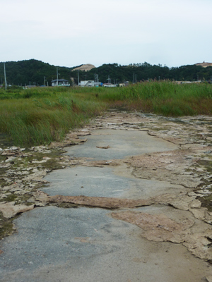 f:id:nobiru_harbor:20130911162744j:image f:id:nobiru_harbor:20130911162744j:image
