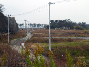 f:id:nobiru_harbor:20131210094406j:image f:id:nobiru_harbor:20131210094406j:image