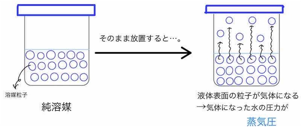 高校化学 蒸気圧降下と沸点上昇の原理をわかりやすく徹底解説 電解質と非電解質との違いは 化学の偏差値が10アップするブログ