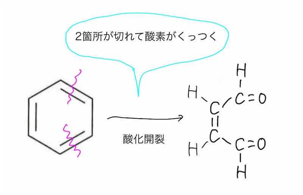 f:id:nobita_60:20220518220921j:image