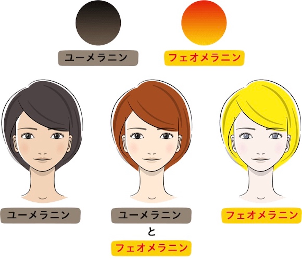 f:id:noble_suzuka:20200430161418j:image f:id:noble_suzuka:20200430161418j:image