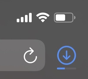 画面右上の丸の中に下向きの矢印が書かれているダウンロードを表すアイコンの下にゲージのような進行度合いを表示するバーが表示されている。ゲージは30%ぐらいの段階のスクリーンショット