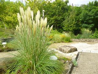 f:id:noblekanazawa70:20180920131754j:image