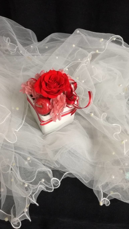 f:id:noblekanazawa70:20181213122215j:image:w360 f:id:noblekanazawa70:20181213122215j:image:w360