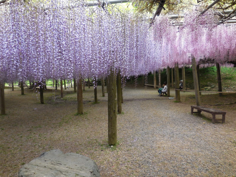 f:id:noblin:20140508144012j:image