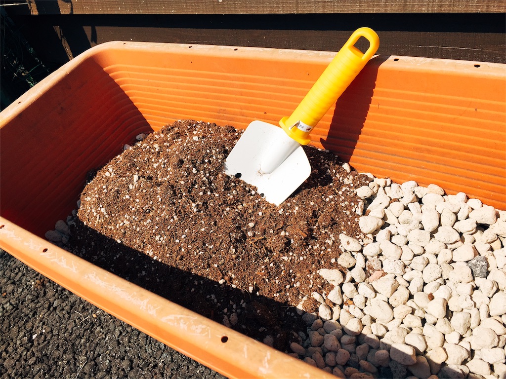 人参と コンパニオンプランツのローズマリーを植えてみた プランター菜園 はたらく 暮らす 整える