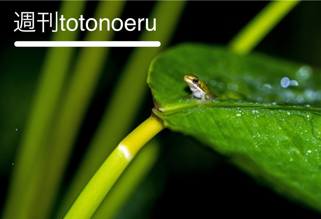 f:id:noblog0125:20180615212256p:image