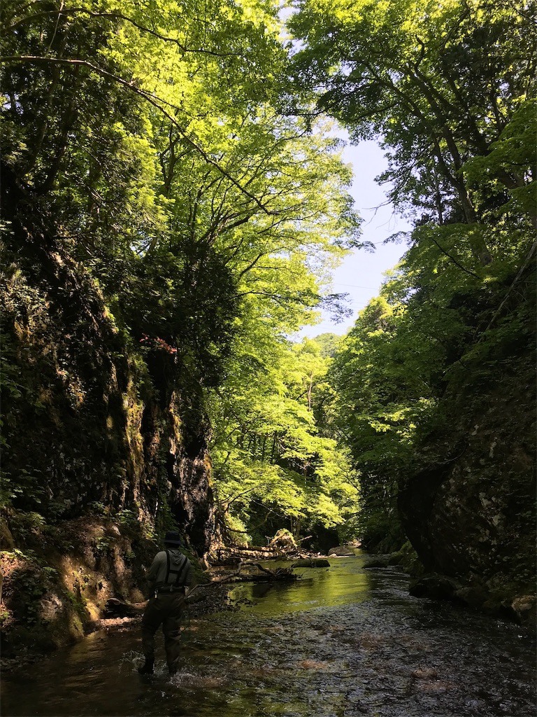 f:id:nobo2600:20190611212847j:image f:id:nobo2600:20190611212847j:image
