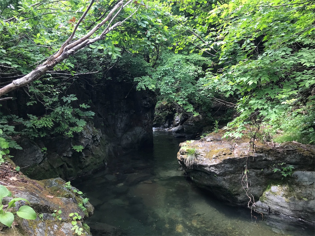 f:id:nobo2600:20190611215629j:image f:id:nobo2600:20190611215629j:image