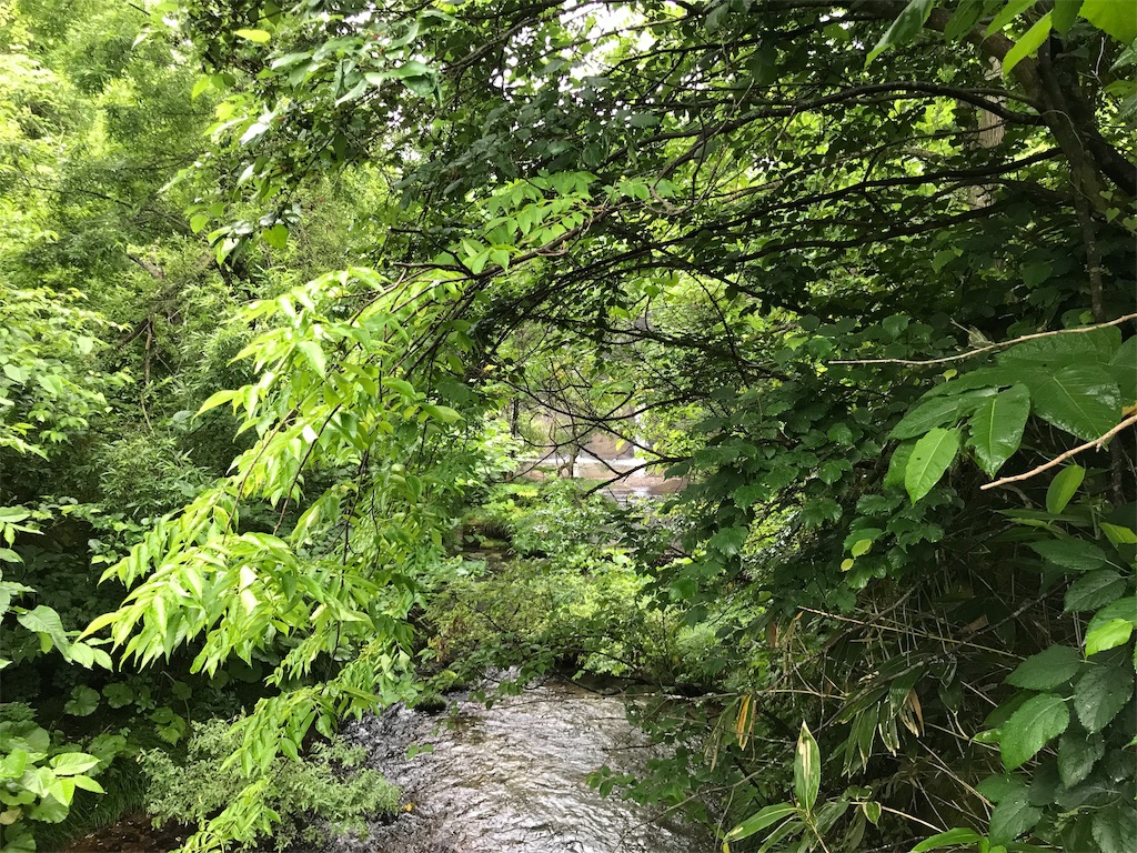 f:id:nobo2600:20190702124456j:image f:id:nobo2600:20190702124456j:image
