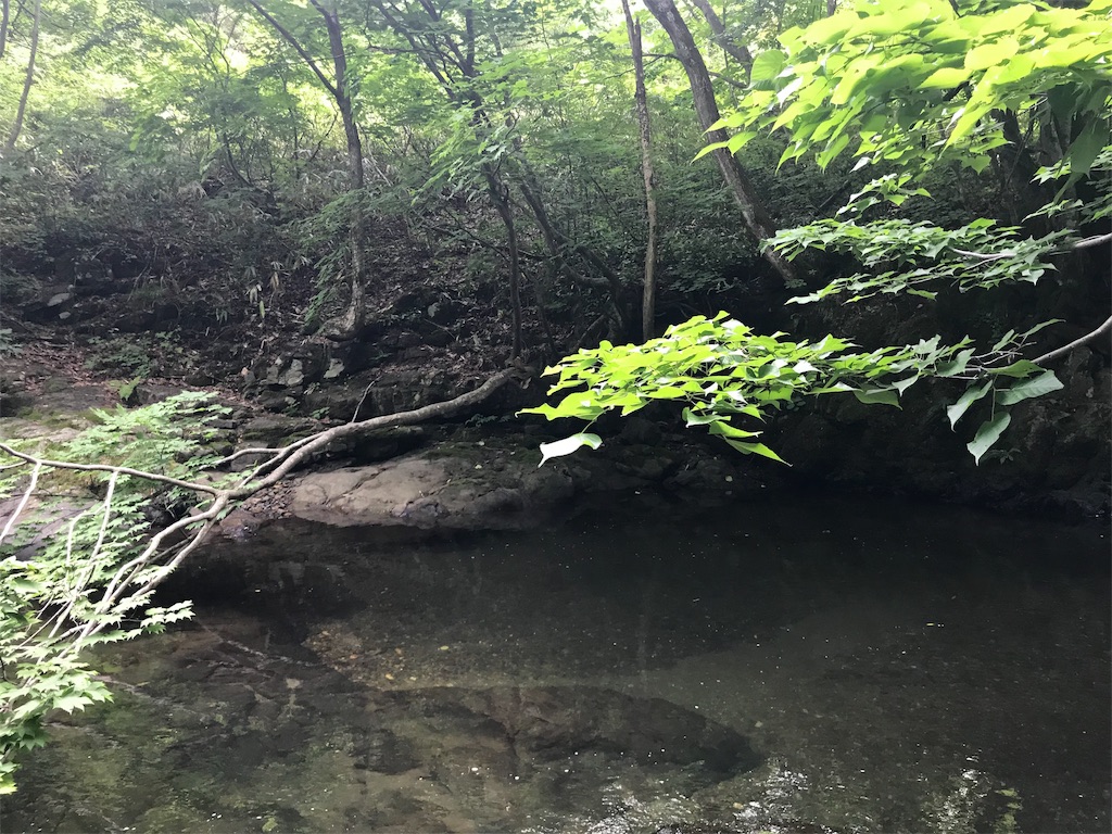 f:id:nobo2600:20190703195915j:image f:id:nobo2600:20190703195915j:image