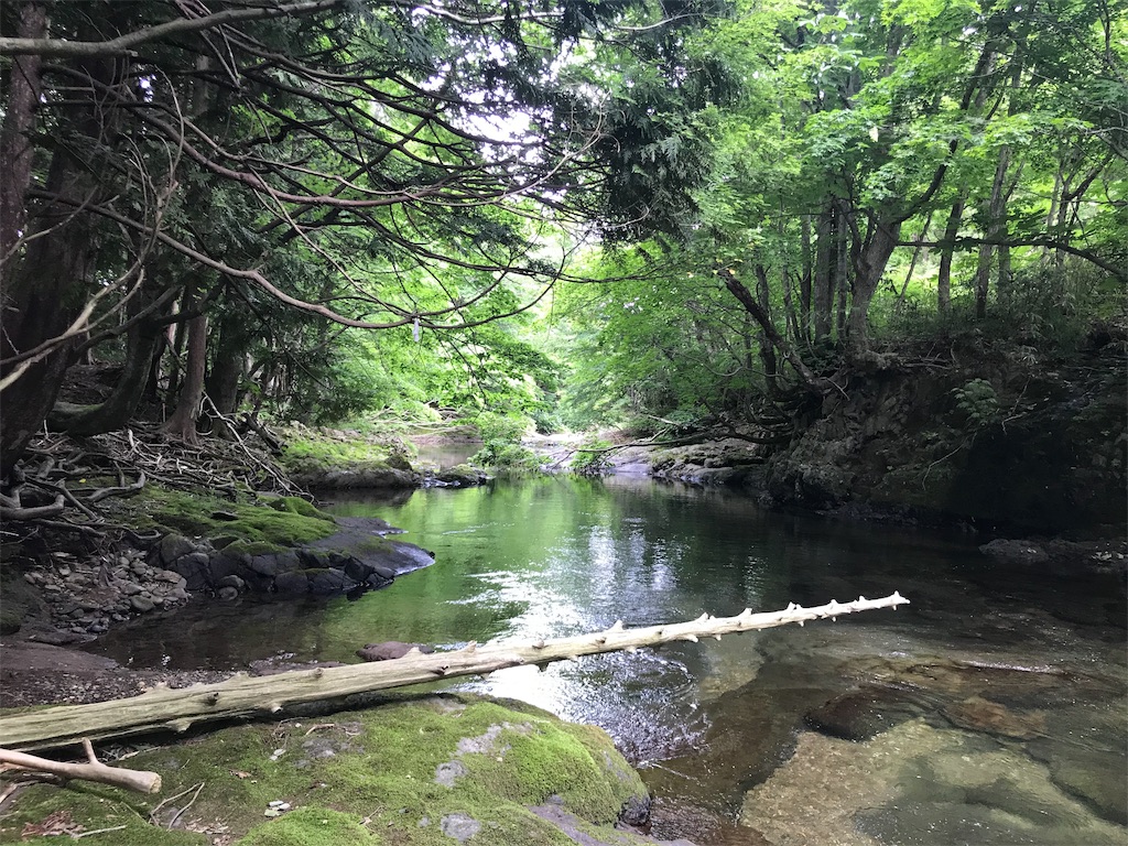 f:id:nobo2600:20190703195919j:image f:id:nobo2600:20190703195919j:image