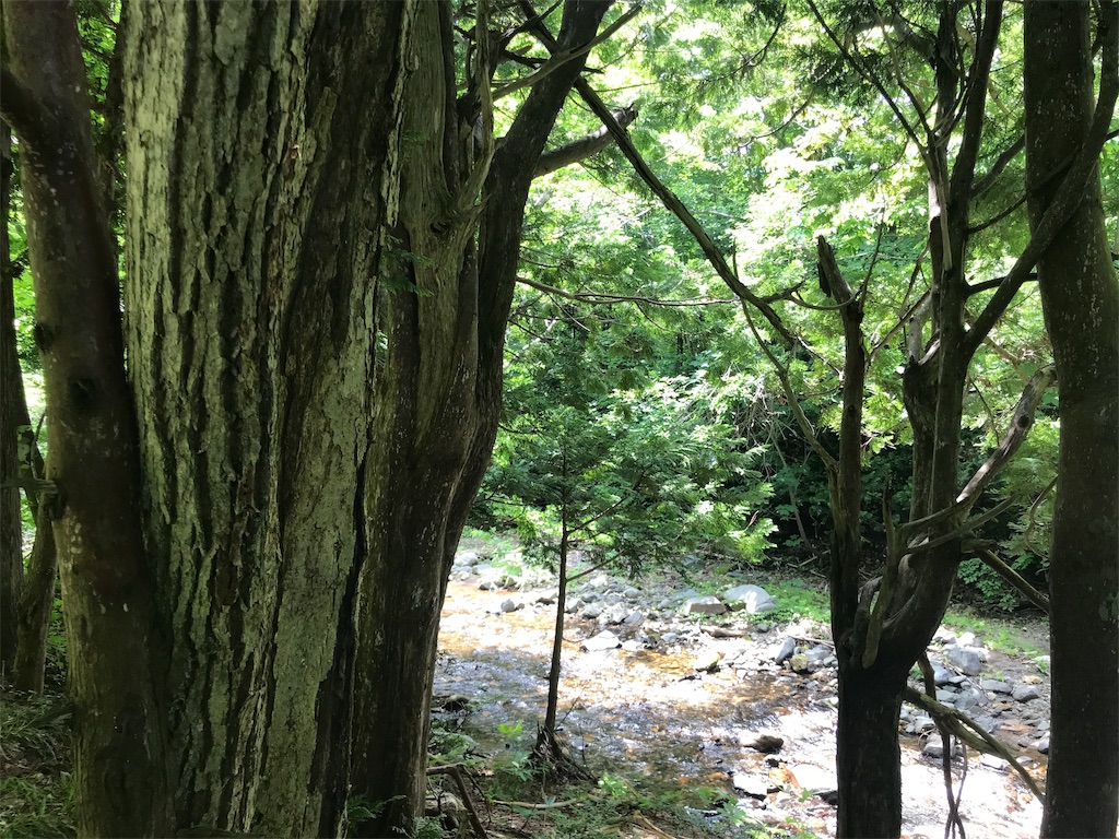 f:id:nobo2600:20190703200043j:image f:id:nobo2600:20190703200043j:image