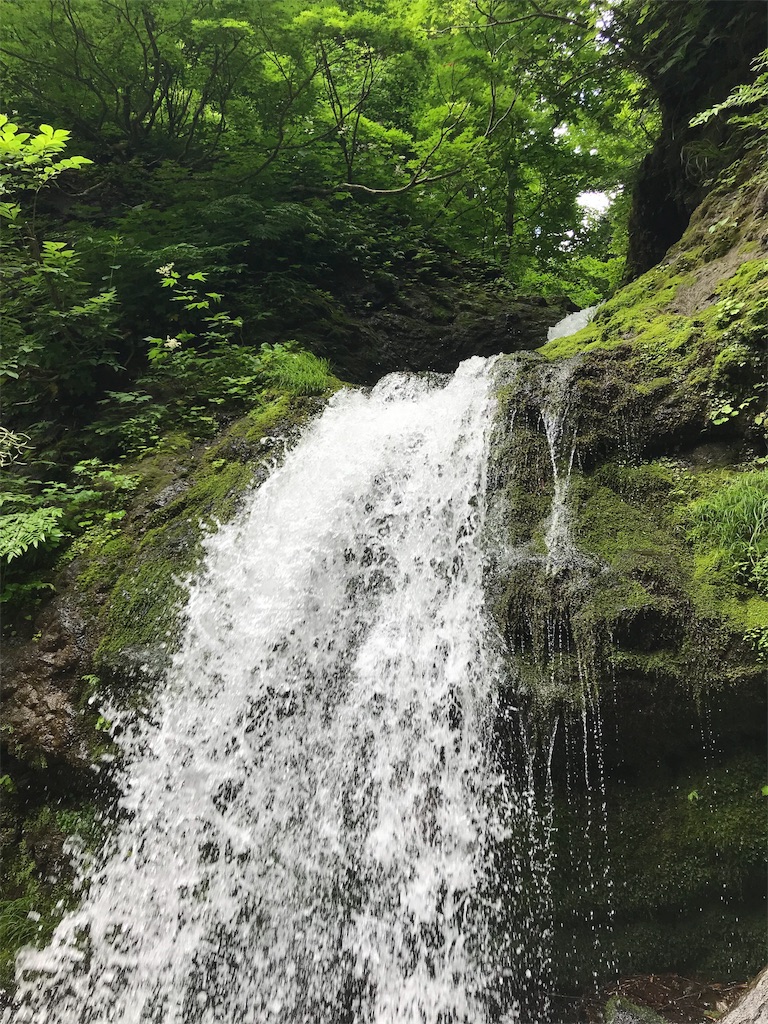 f:id:nobo2600:20190707150954j:image f:id:nobo2600:20190707150954j:image