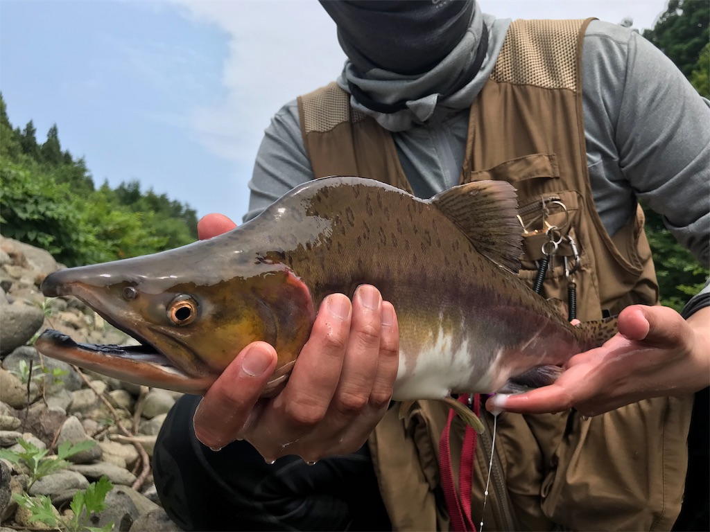 f:id:nobo2600:20190728132755j:image f:id:nobo2600:20190728132755j:image