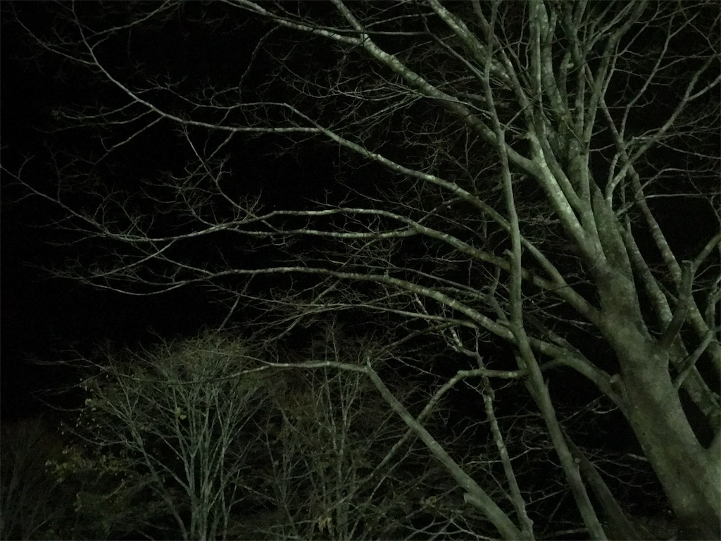 f:id:nobo2600:20191114224143j:image f:id:nobo2600:20191114224143j:image