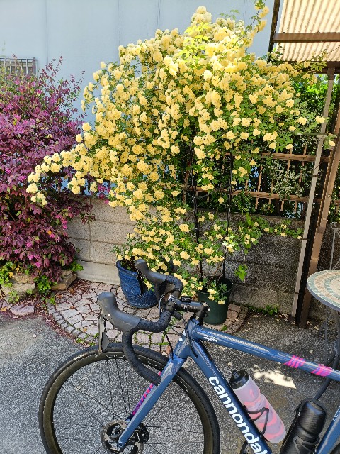 f:id:noborin04:20250504161047j:image