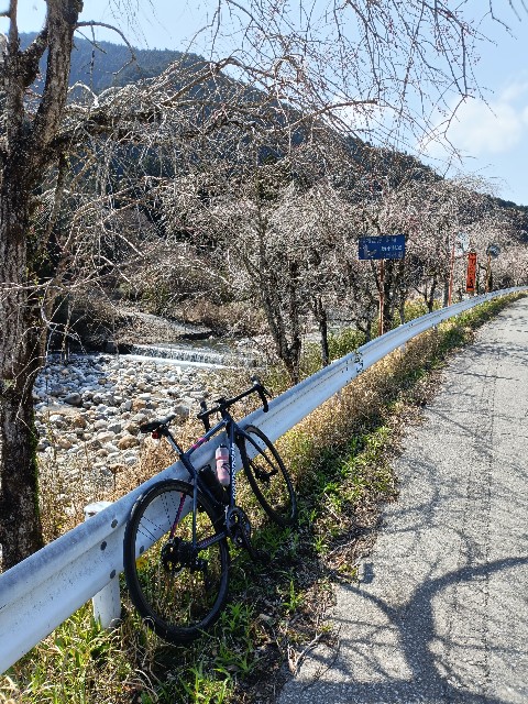 f:id:noborin04:20250504162520j:image
