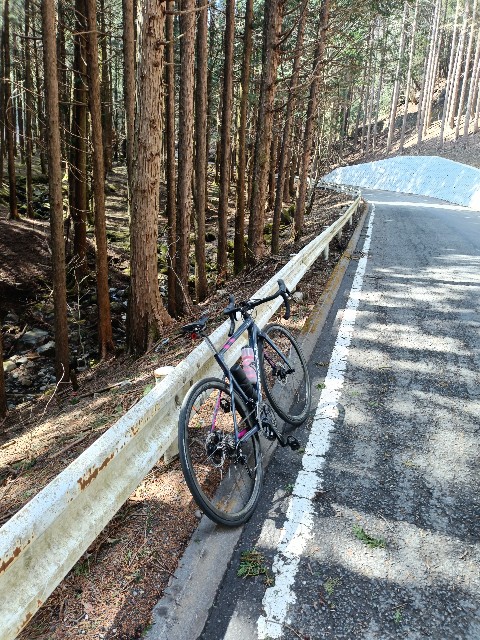 f:id:noborin04:20250504163613j:image