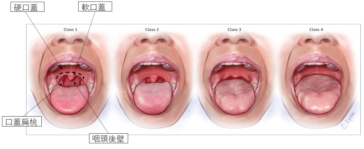 f:id:noboru-_-0913:20210412202247p:plain
