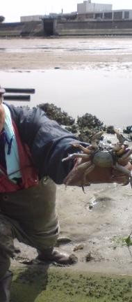 f:id:nobriny:20100302113419j:image:h300 f:id:nobriny:20100302113419j:image:h300