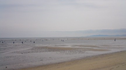 f:id:nobriny:20100302114920j:image:h300 f:id:nobriny:20100302114920j:image:h300