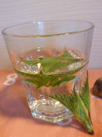f:id:nobriny:20120423115926j:image:w110