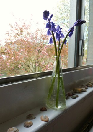 f:id:nobriny:20120424155239j:image:w110