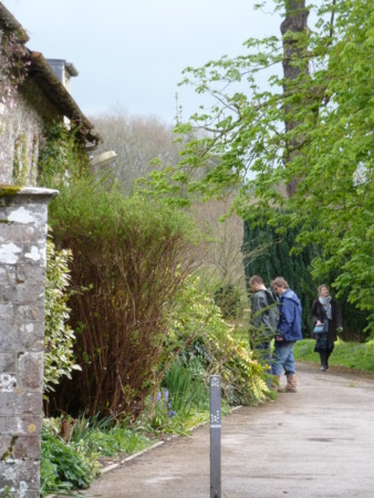 f:id:nobriny:20120426165145j:image