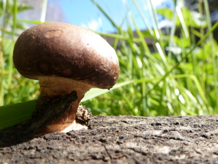 f:id:nobriny:20120427160917j:image