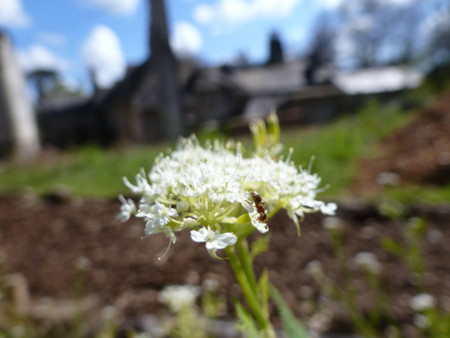 f:id:nobriny:20120427161442j:image:w240