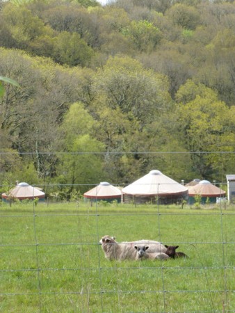 f:id:nobriny:20120507103637j:image:w145