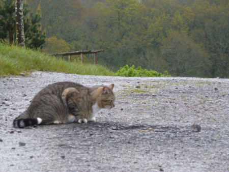 f:id:nobriny:20120508075900j:image