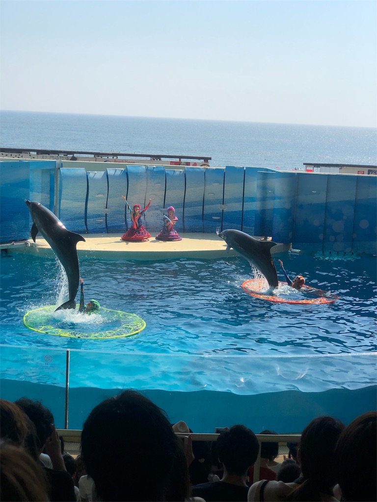 f:id:nobu09:20180715172110j:image f:id:nobu09:20180715172110j:image