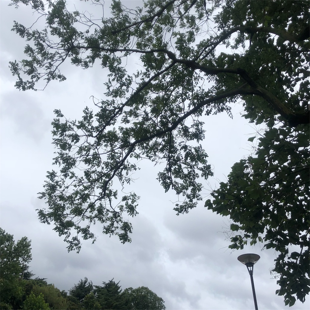 f:id:nobu09:20180728211959j:image f:id:nobu09:20180728211959j:image