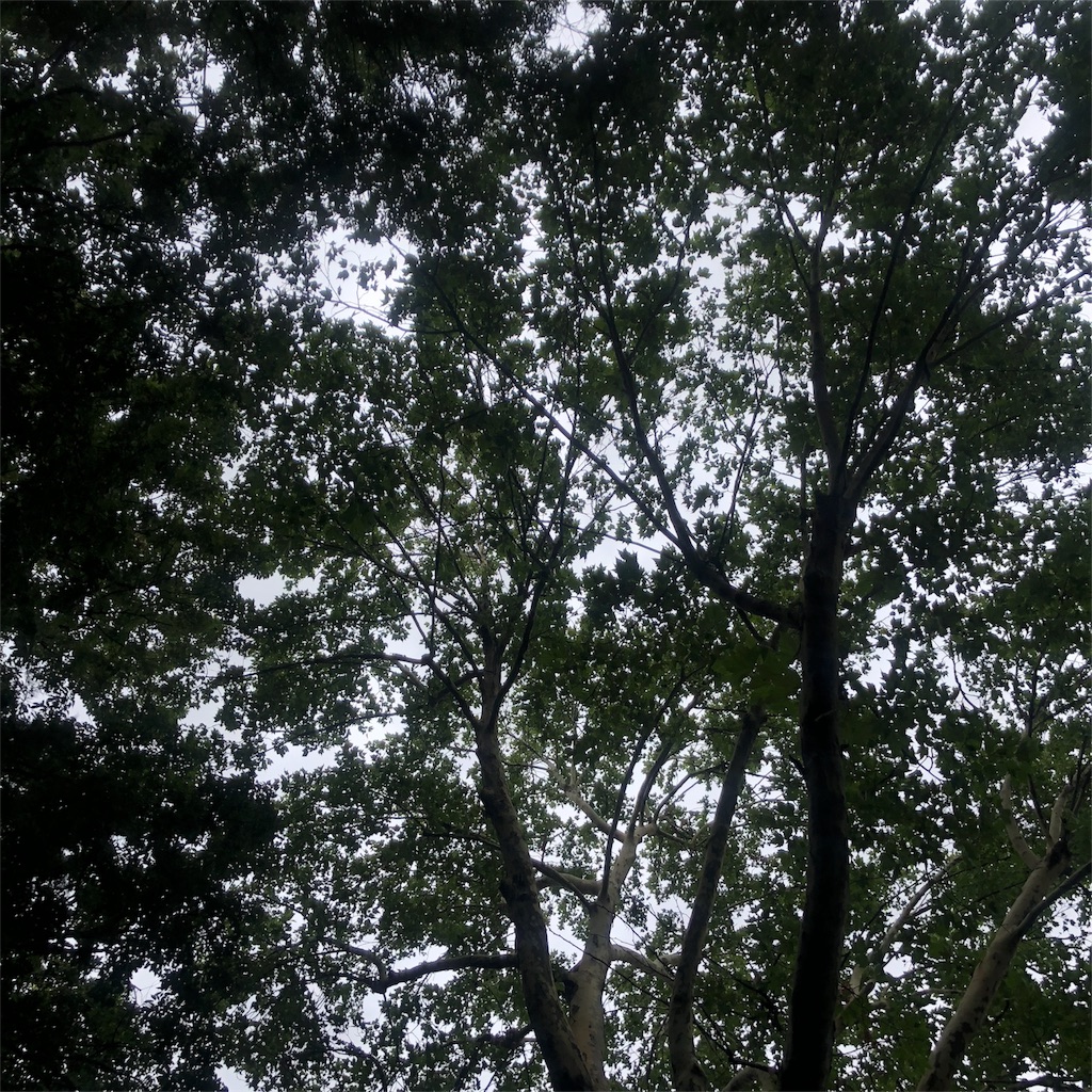 f:id:nobu09:20180728212004j:image f:id:nobu09:20180728212004j:image