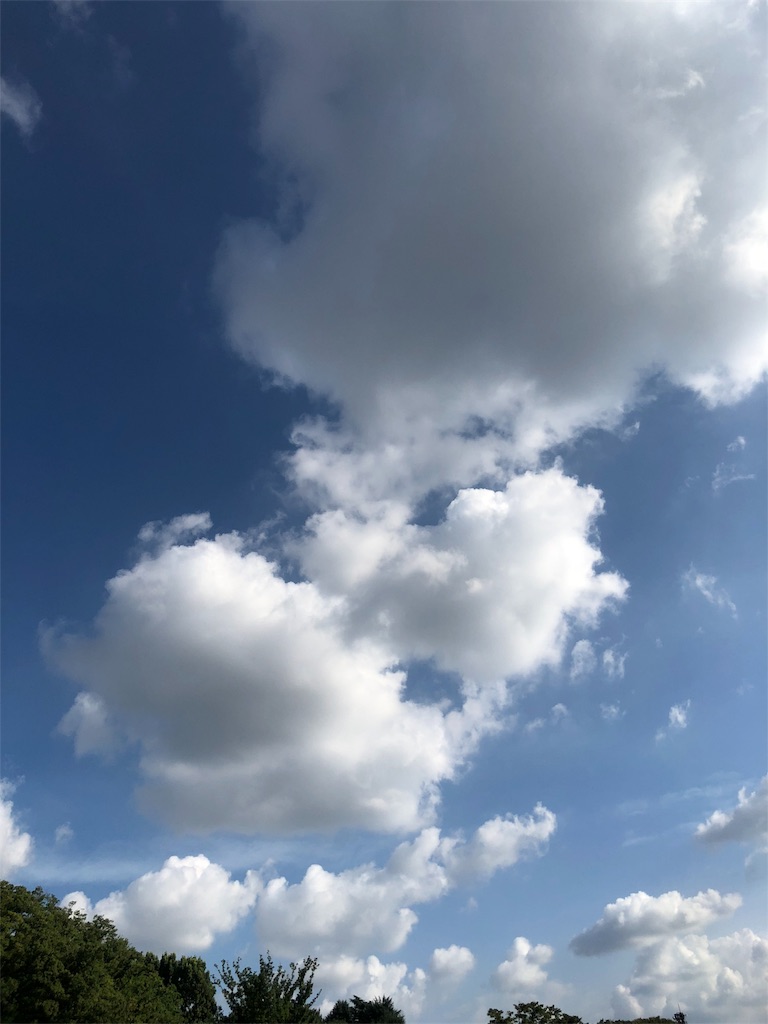 f:id:nobu09:20180729161833j:image