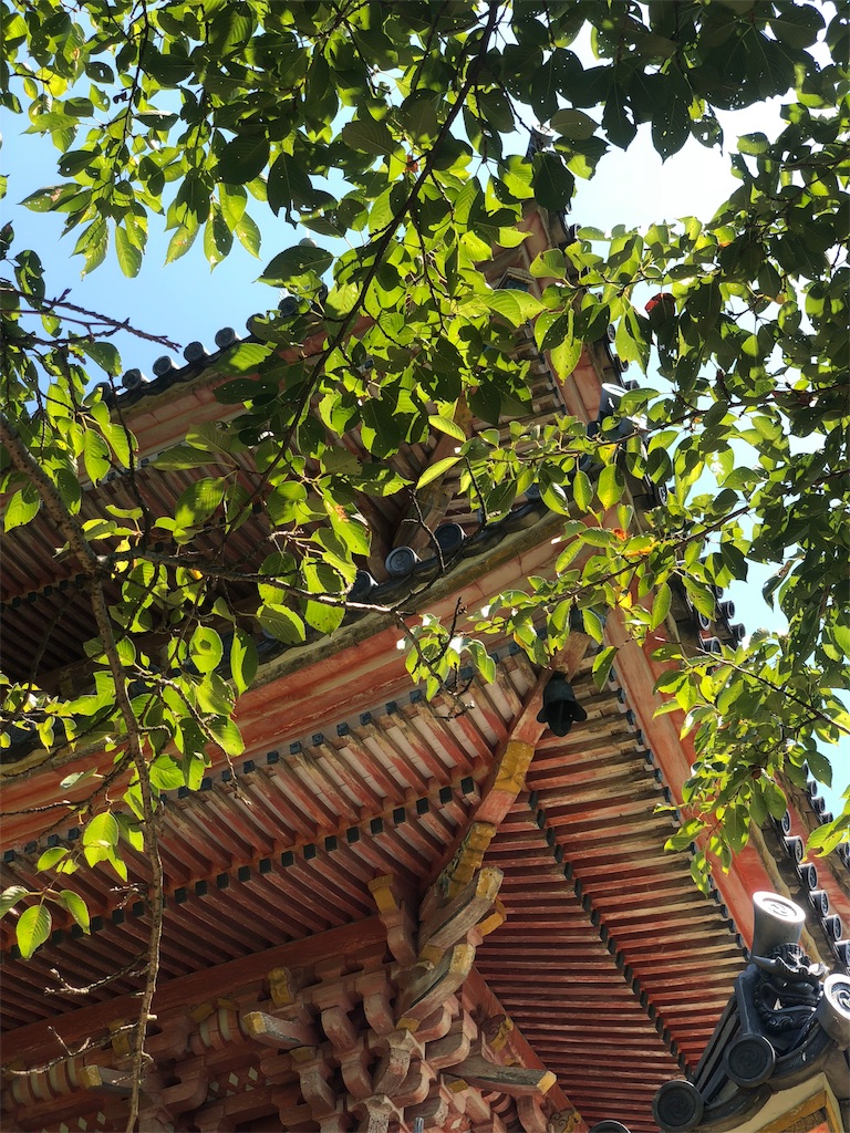 f:id:nobu09:20180905231844j:image
