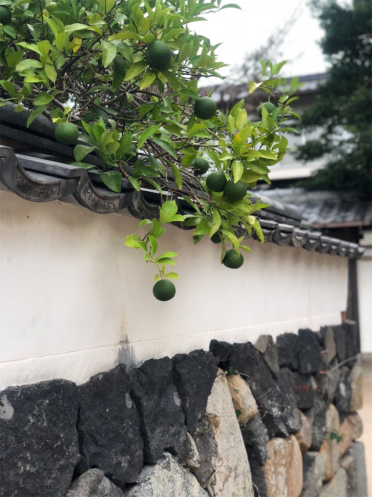 f:id:nobu09:20180909182937j:image
