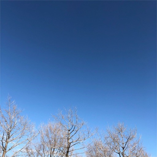 f:id:nobu09:20190203224425j:image