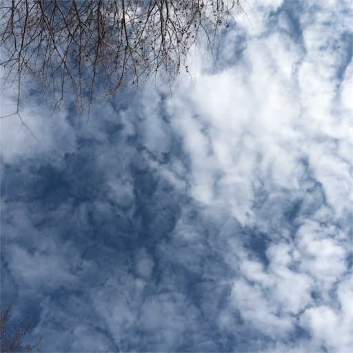 f:id:nobu09:20190203224735j:image