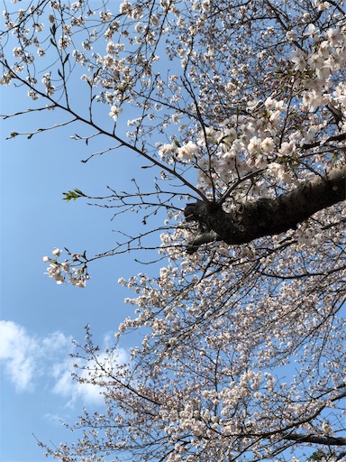 f:id:nobu09:20190331165034j:image