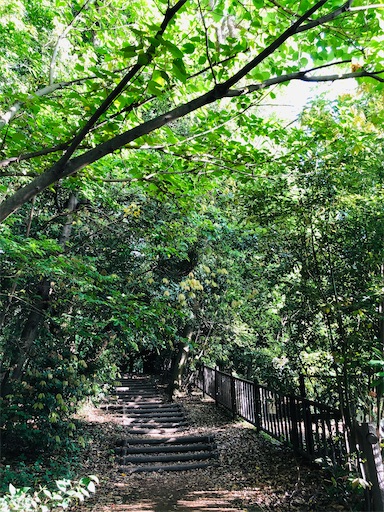 f:id:nobu09:20200523175738j:image