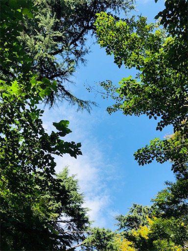 f:id:nobu09:20201114003349j:plain