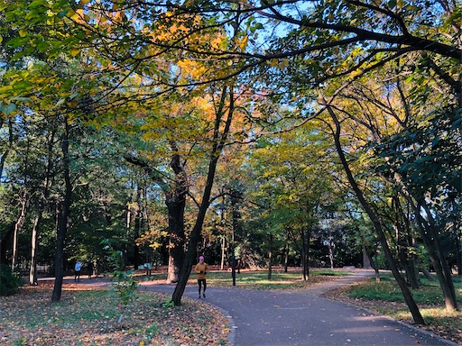 f:id:nobu09:20201114003352j:plain