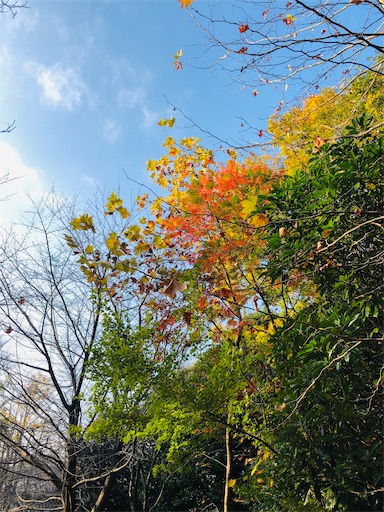 f:id:nobu09:20201129162819j:plain