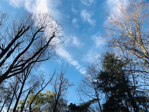 f:id:nobu09:20211217225409j:plain