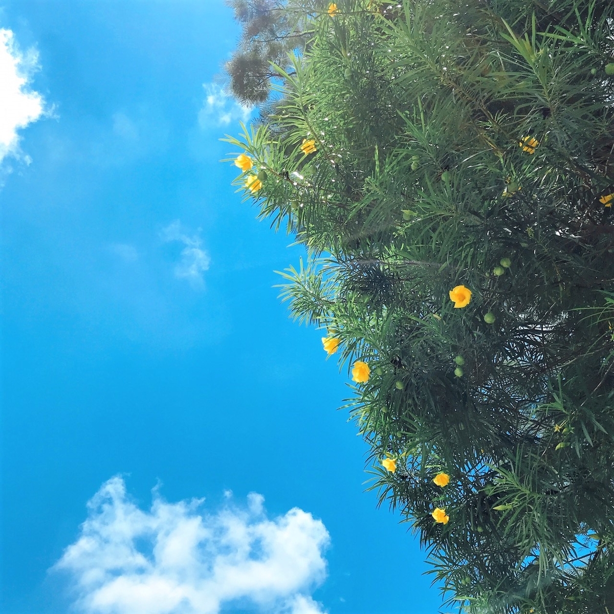 f:id:nobu2019:20190401025620j:plain